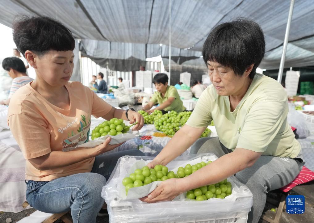怎么下载850打鱼旧版本